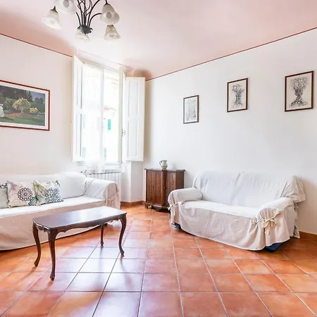 Piattellina 8 * Florencie